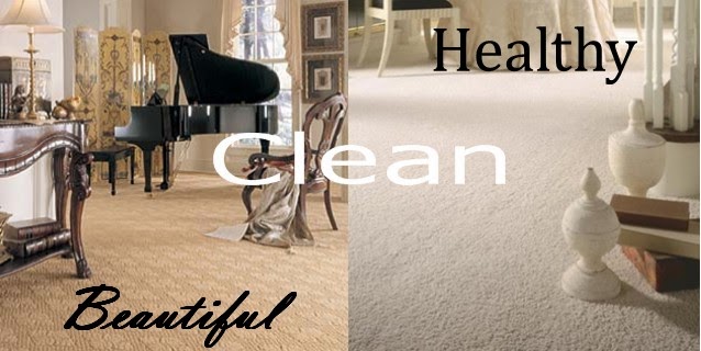 Central Jersey Carpet & Rug Cleaning | 7 Stella Dr, Bridgewater, NJ 08807 | Phone: (908) 722-2227