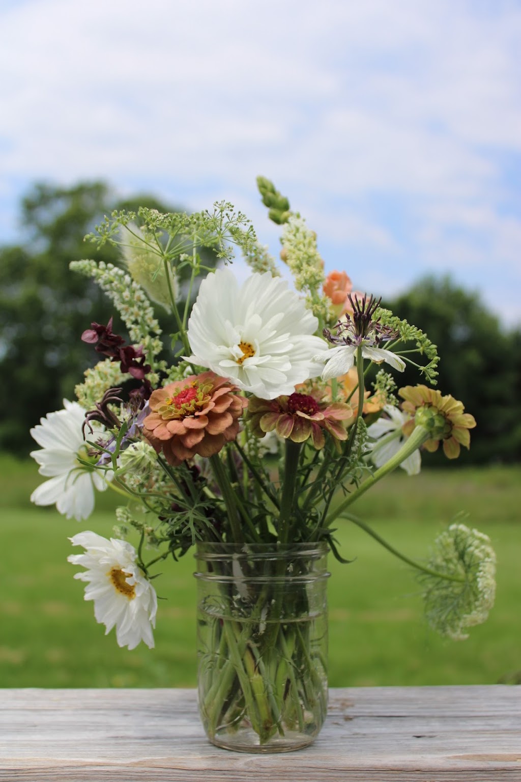 Renegade Flower Farm | 3597 Garnet Mine Rd, Garnet Valley, PA 19060 | Phone: (484) 841-8505