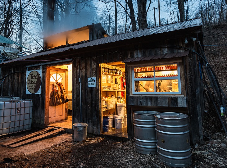 Tree Juice Maple Syrup | 59 Rider Hollow Rd, Arkville, NY 12406 | Phone: (845) 204-8870