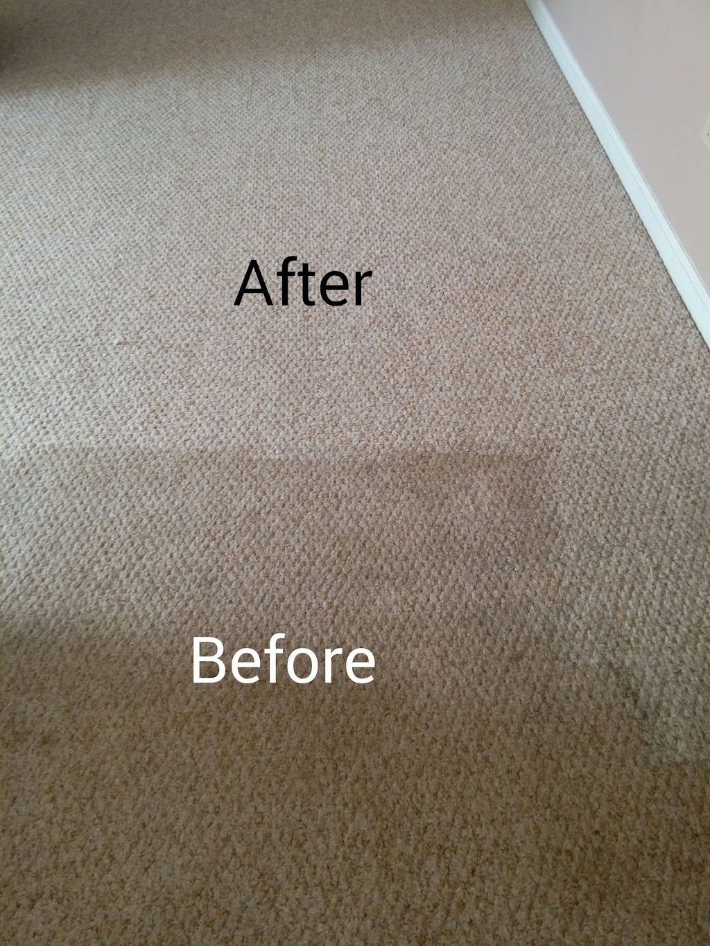 Katt Carpet and Upholstery cleaning | 308 Springdale Rd, Westfield, MA 01085 | Phone: (413) 388-2250