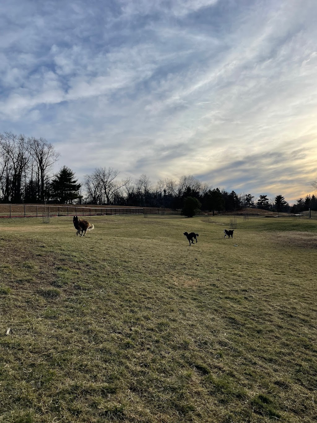 Twining Valley Dog Park | 4VV2+J6, Dresher, PA 19090 | Phone: (215) 643-1600