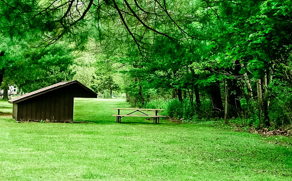 Narrowsburg Campground (Landers River Trips) | 69 De Mauro Ln, Narrowsburg, NY 12764 | Phone: (800) 252-3925