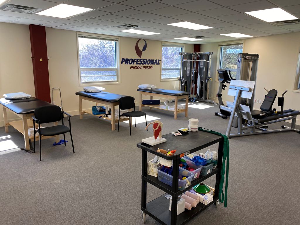 Professional Physical and Hand Therapy | 33 Flying Point Rd # 250, Southampton, NY 11968 | Phone: (631) 440-1793