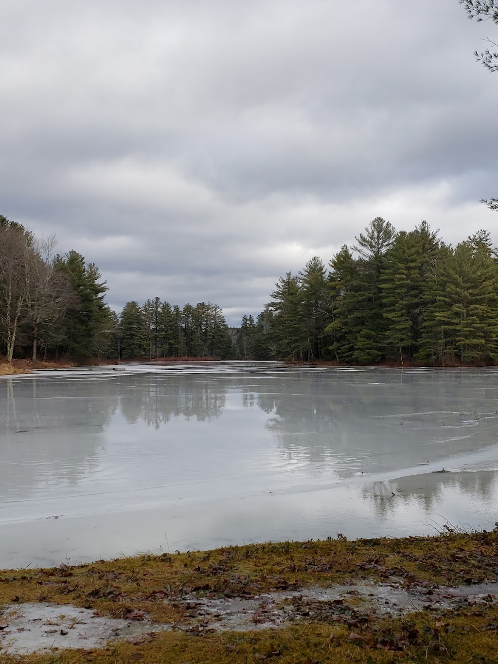 Tolgy Wood: Chesterfield Camp | 22 Sugar Hill Rd, Williamsburg, MA 01096 | Phone: (860) 294-9519