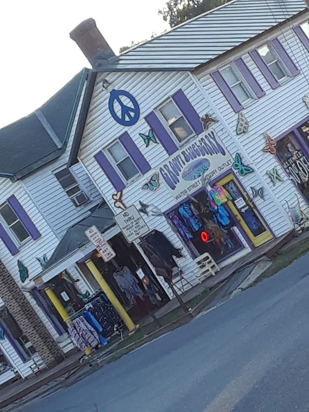 Groovy Blueberry | 1 Water St, New Paltz, NY 12561 | Phone: (845) 256-0873