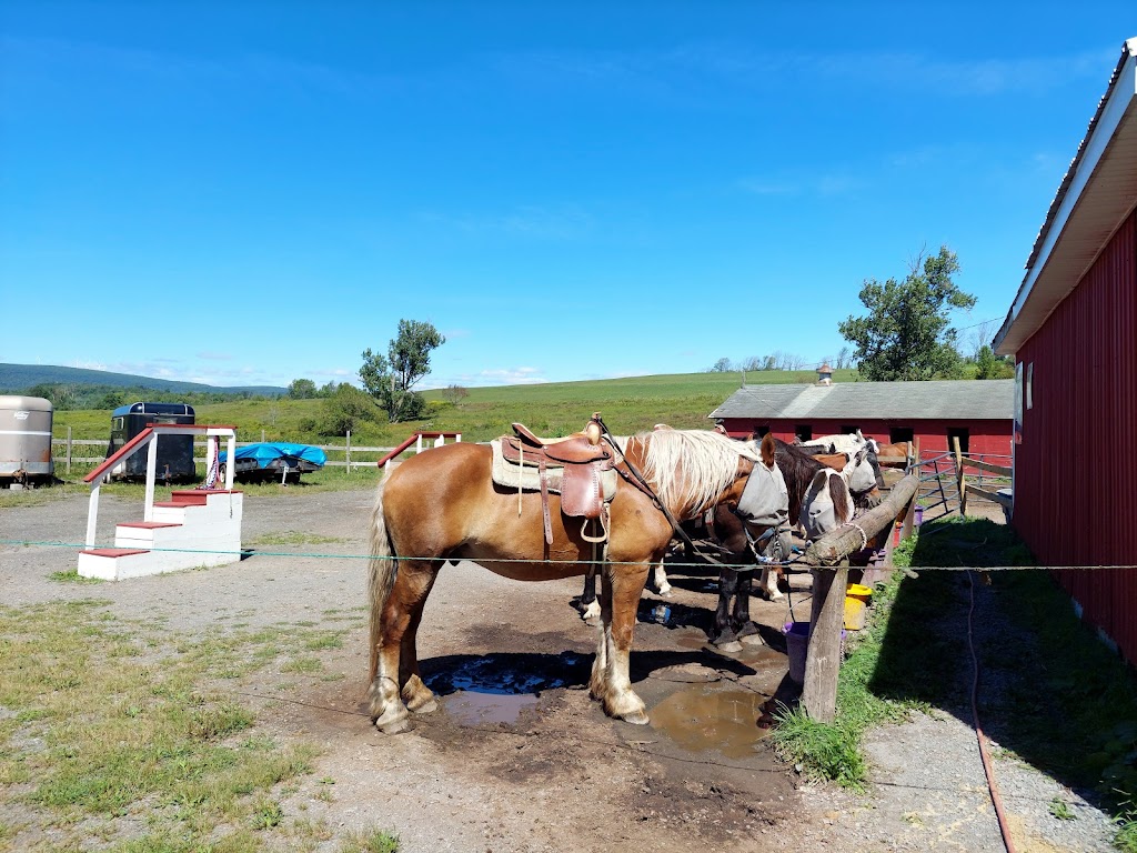 Happy Trails Stables Waymart | 613 Honesdale Rd, Waymart, PA 18472 | Phone: (570) 488-6996