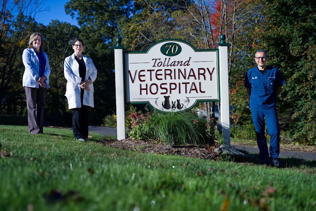 Tolland Veterinary Hospital | 70 Hartford Turnpike, Tolland, CT 06084 | Phone: (860) 875-5748