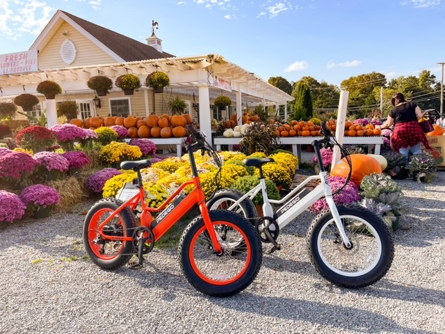 Pedego Electric Bikes Stony Brook | 690 NY-25A Ste 10, Setauket- East Setauket, NY 11733 | Phone: (631) 201-4283