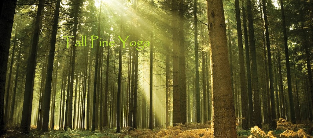 Tall Pine Yoga | 29 Pasture Trail, Somerset, NJ 08873 | Phone: (732) 822-4203