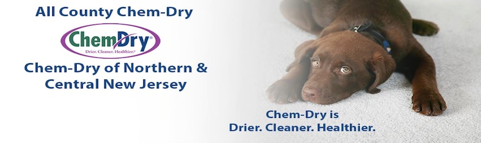 All County Chem-Dry | 111 Canfield Ave #A18, Randolph, NJ 07869 | Phone: (973) 577-5085