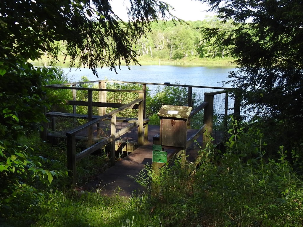 Browning Beaver Meadow Sanctuary | Hawley Rd, Equinunk, PA 18417 | Phone: (570) 253-9250