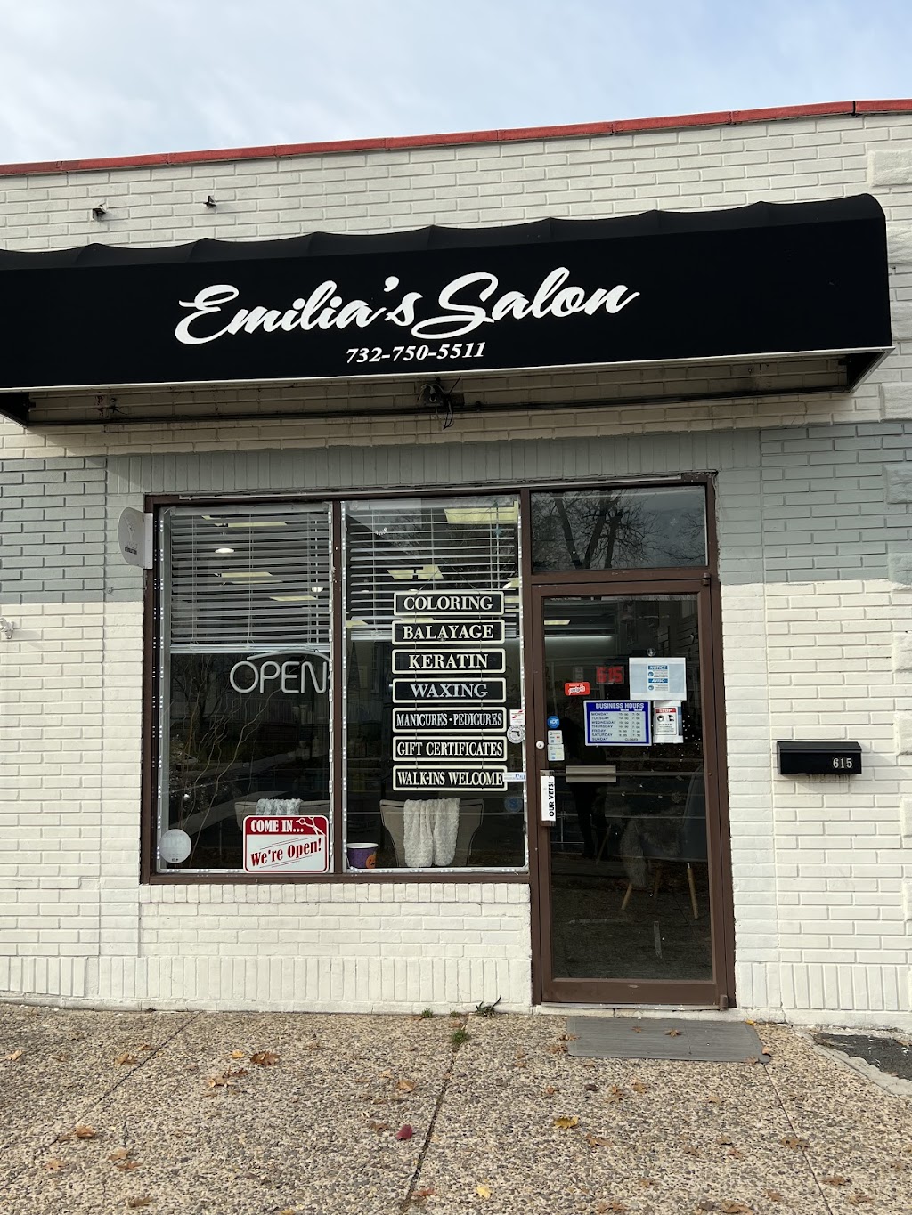Emilias Salon | 615 Rahway Ave, Woodbridge Township, NJ 07095 | Phone: (732) 750-5511