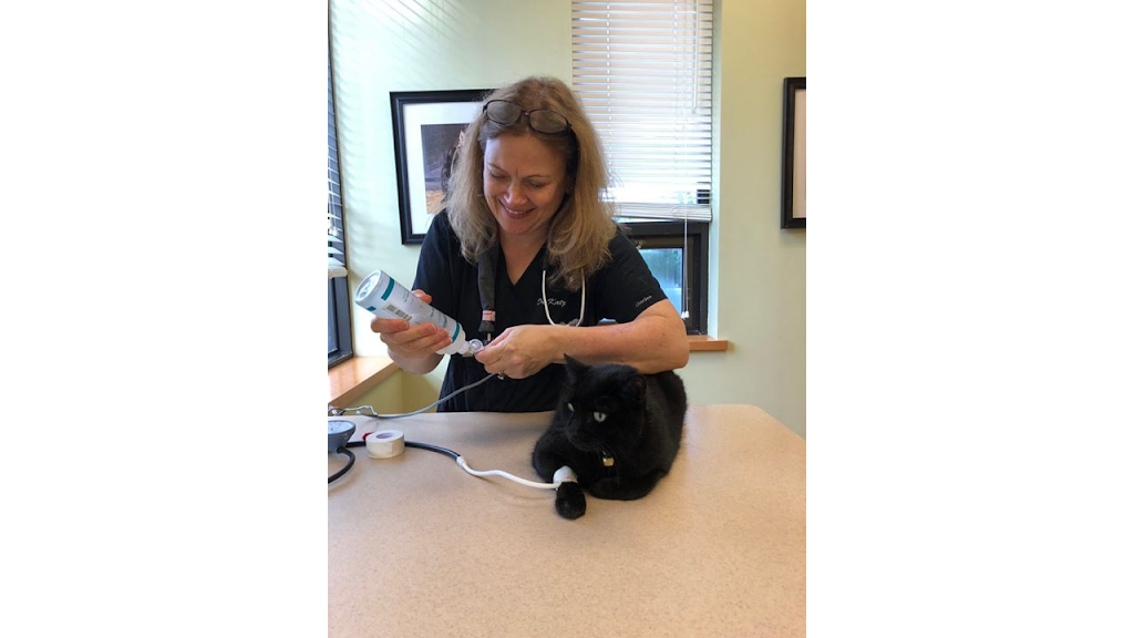 AristoKatz - Veterinary Care for Cats | 530 Kings Hwy Cutoff, Fairfield, CT 06824 | Phone: (203) 690-1099