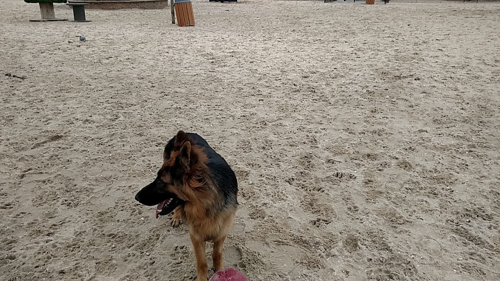 Ocean City Dog Park | 45th St & Haven Ave, Ocean City, NJ 08226 | Phone: (609) 399-6111