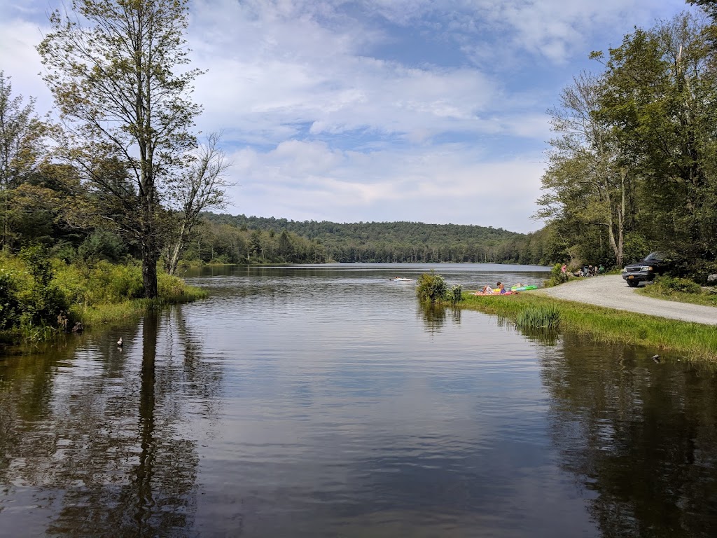 Crystal Lake Wild Forest | Roscoe, NY 12776 | Phone: (845) 256-3000