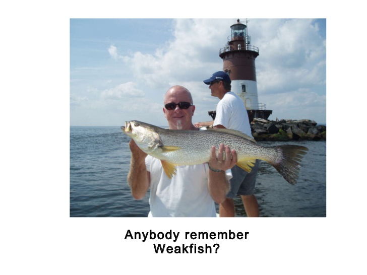 Reel Therapy Fishing Charters | 9 Williamsburg Dr, Tinton Falls, NJ 07753 | Phone: (732) 614-3373