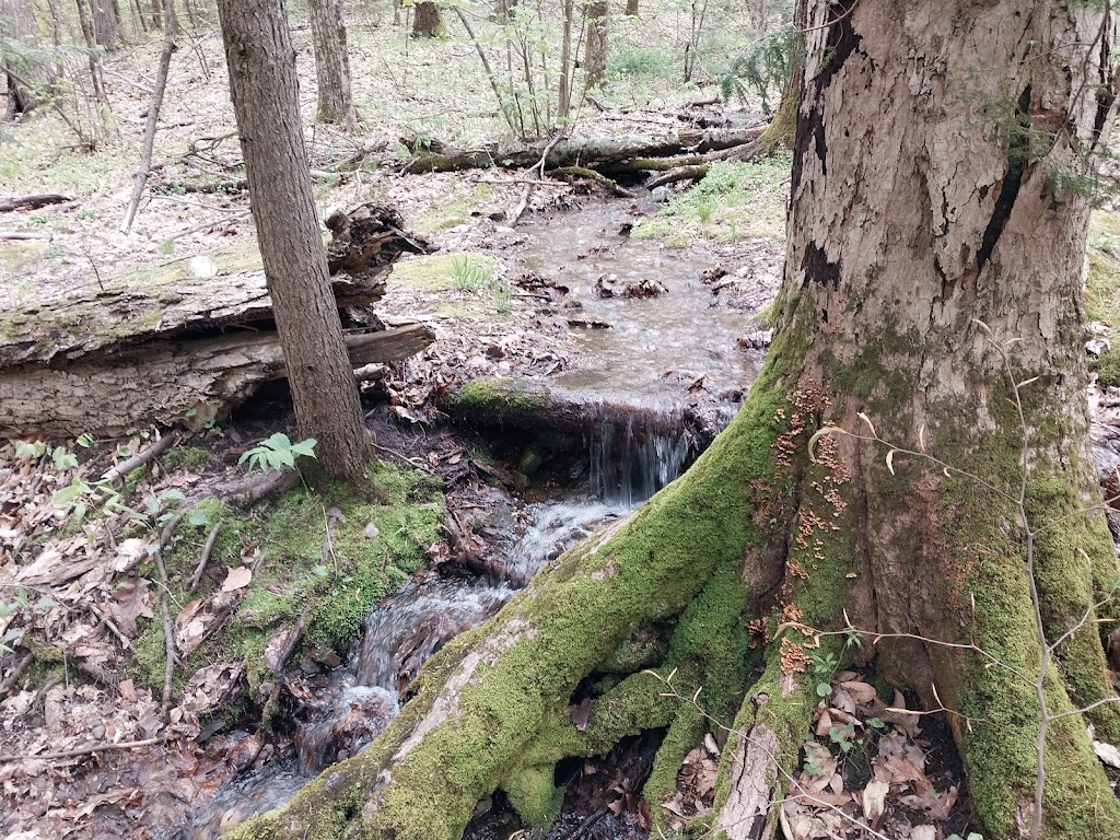 Taylors Notch Trailhead | 39 Hockanum Rd, Hadley, MA 01035 | Phone: (413) 253-2883