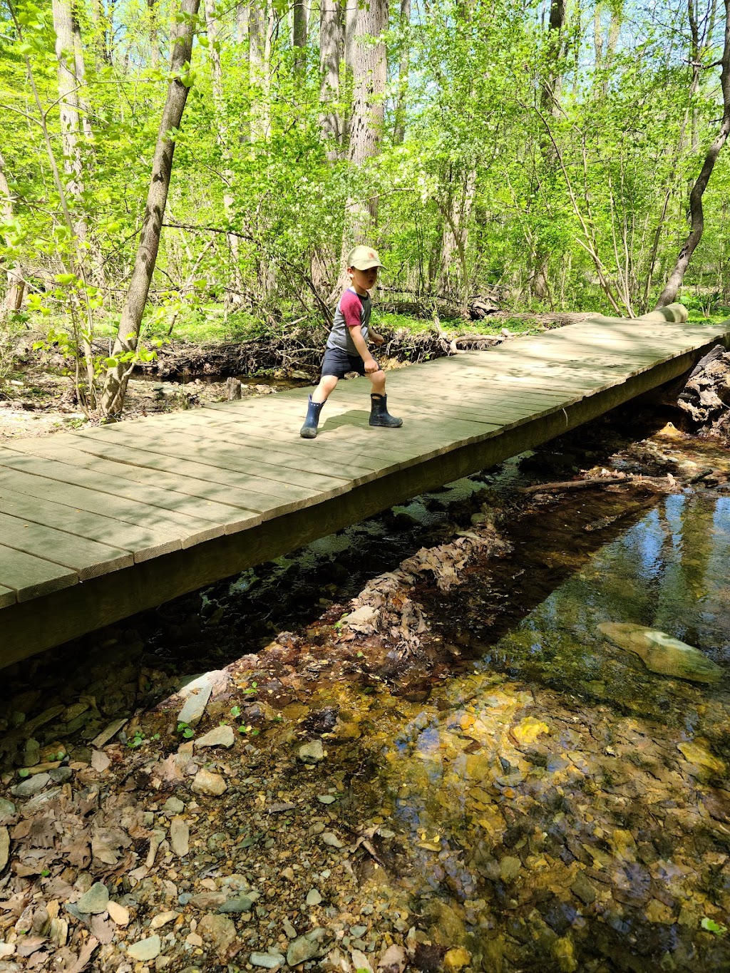 McKaig Nature Education Center | 889 Croton Rd, Wayne, PA 19087 | Phone: (484) 580-9474