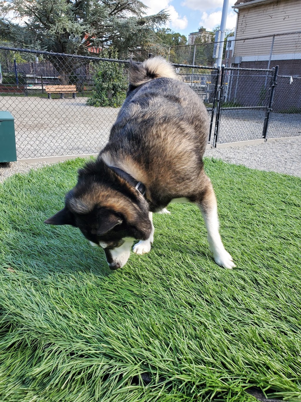 Fort Lee Dog Park | 519 Stillwell Ave, Fort Lee, NJ 07024 | Phone: (201) 592-4699