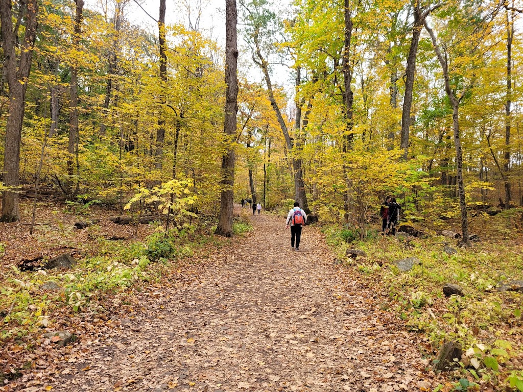 Heublein Tower | 1 Summit Drive, Simsbury, CT 06070 | Phone: (860) 242-1158