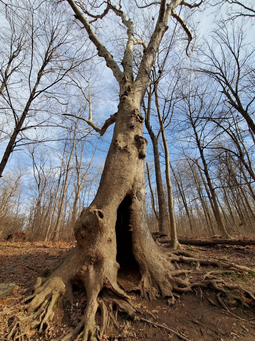 Peace Valley Nature Center | 170 N Chapman Rd, Doylestown, PA 18901 | Phone: (215) 348-6270