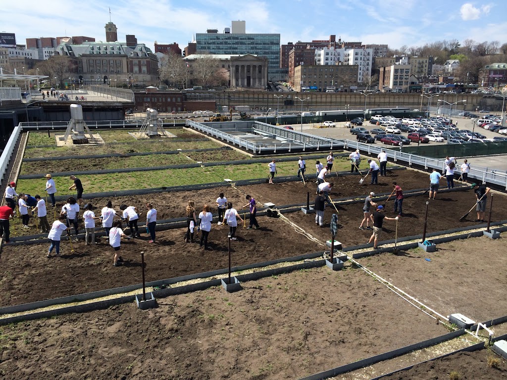 The Living Roof | 1 Ferry Terminal Viaduct, Staten Island, NY 10301 | Phone: (347) 915-4114