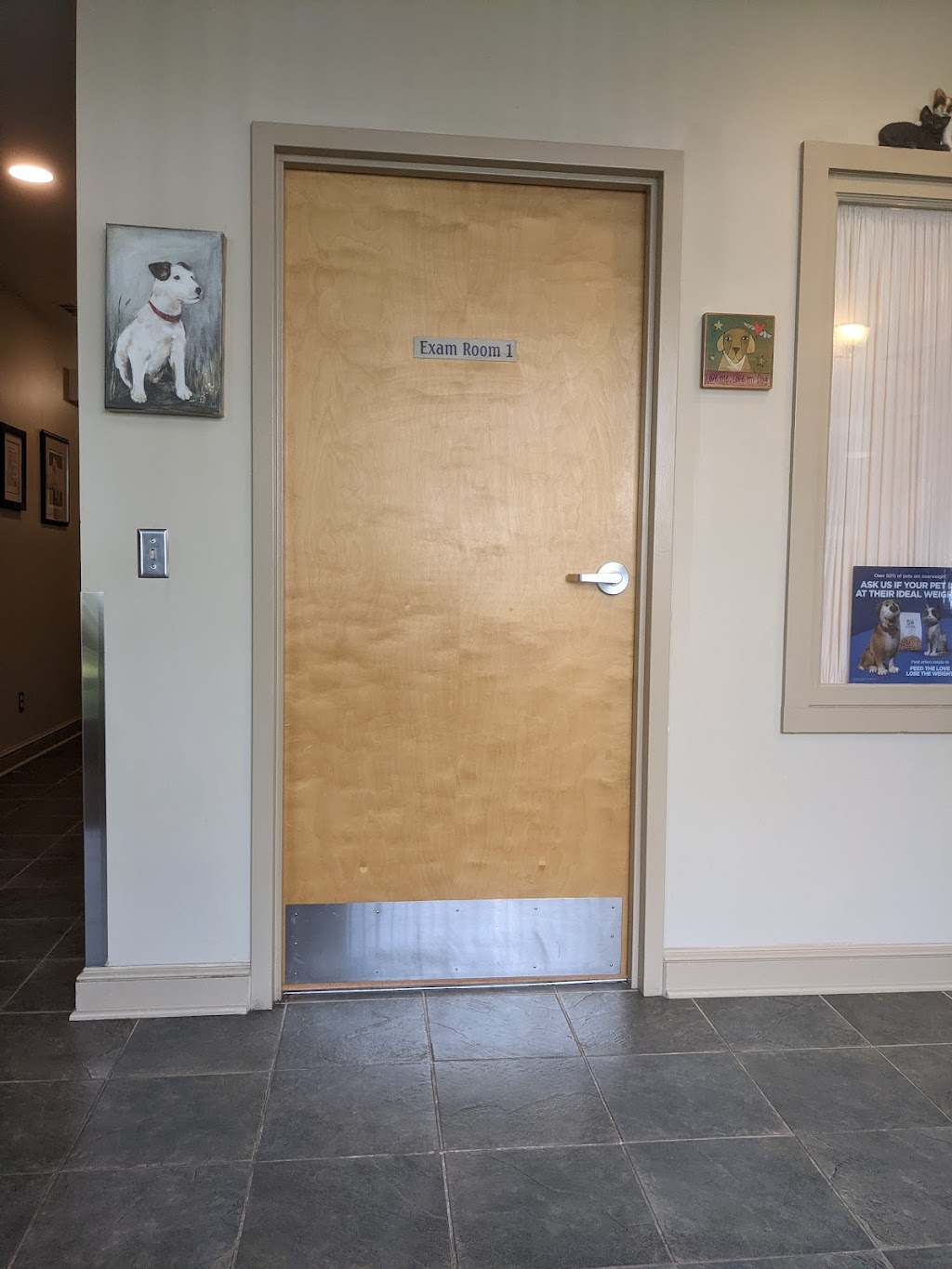 Davis Companion Animal Hospital | 127 Main St N # G, Woodbury, CT 06798 | Phone: (203) 263-8866