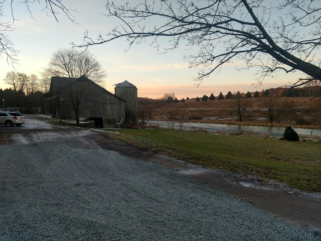 Wiffy Bog Farm Bed and Breakfast | 4201 PA-106, Clifford, PA 18441 | Phone: (570) 222-7777