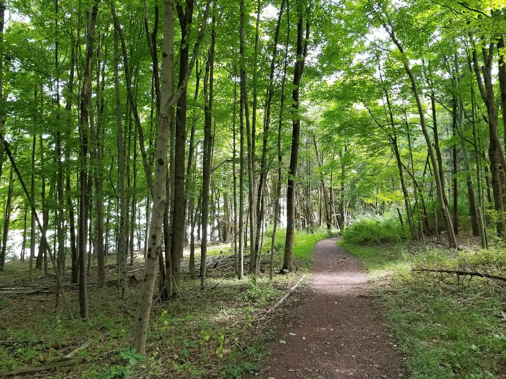 Green Lane Park - Blue Trail | Red Trail, Pennsburg, PA 18073 | Phone: (215) 234-4528