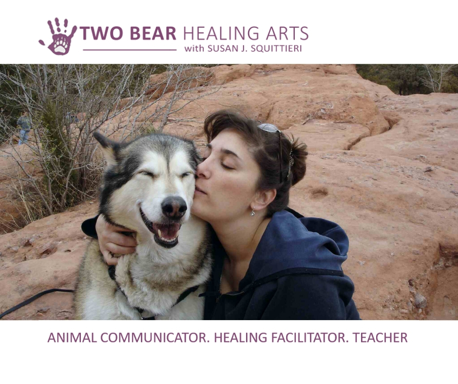 Two Bear Healing Arts | Animal Communication + Reiki | 664 Sierra Vista Ln, Valley Cottage, NY 10989 | Phone: (845) 512-8389