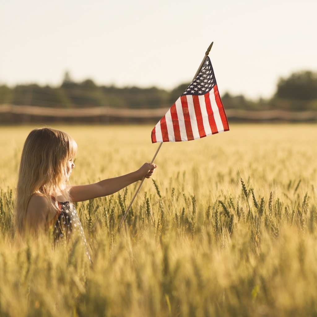 Liberty Flagpoles | 9 Commercial Dr Unit D, Hampden, MA 01036 | Phone: (800) 314-2392