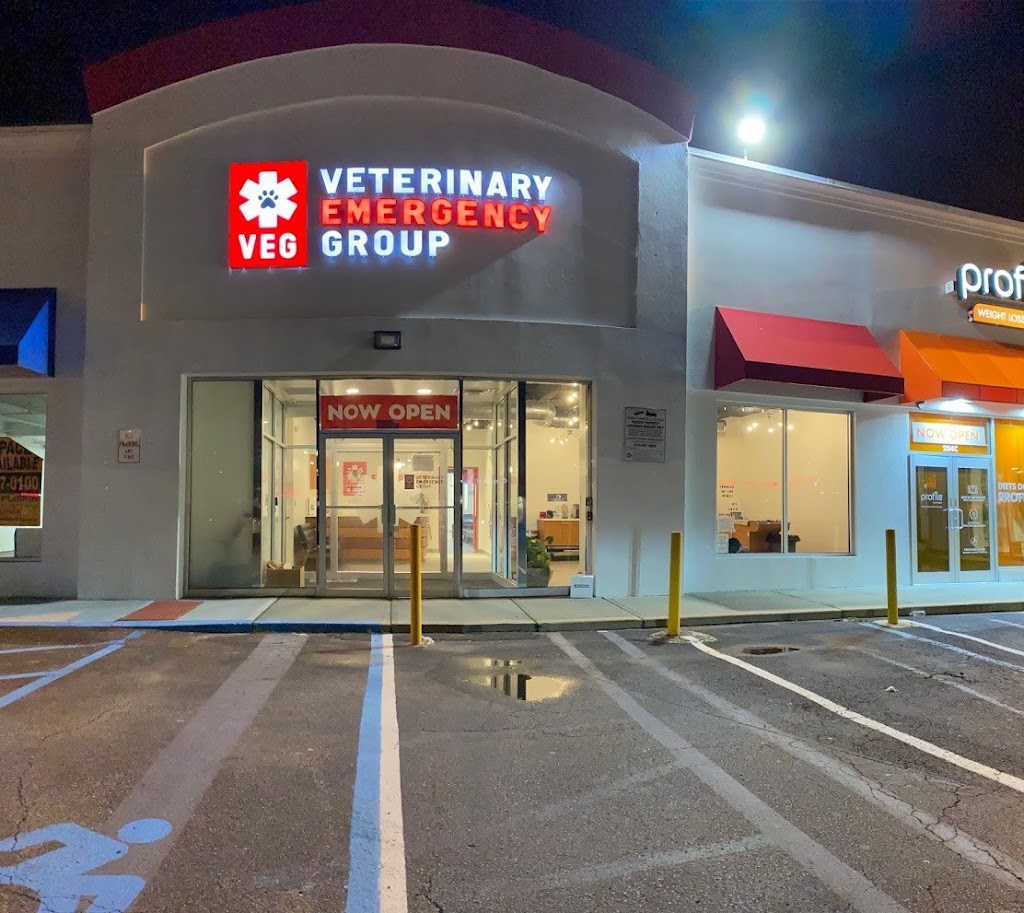 Veterinary Emergency Group | 204 B Glen Cove Rd, Carle Place, NY 11514 | Phone: (516) 693-8859