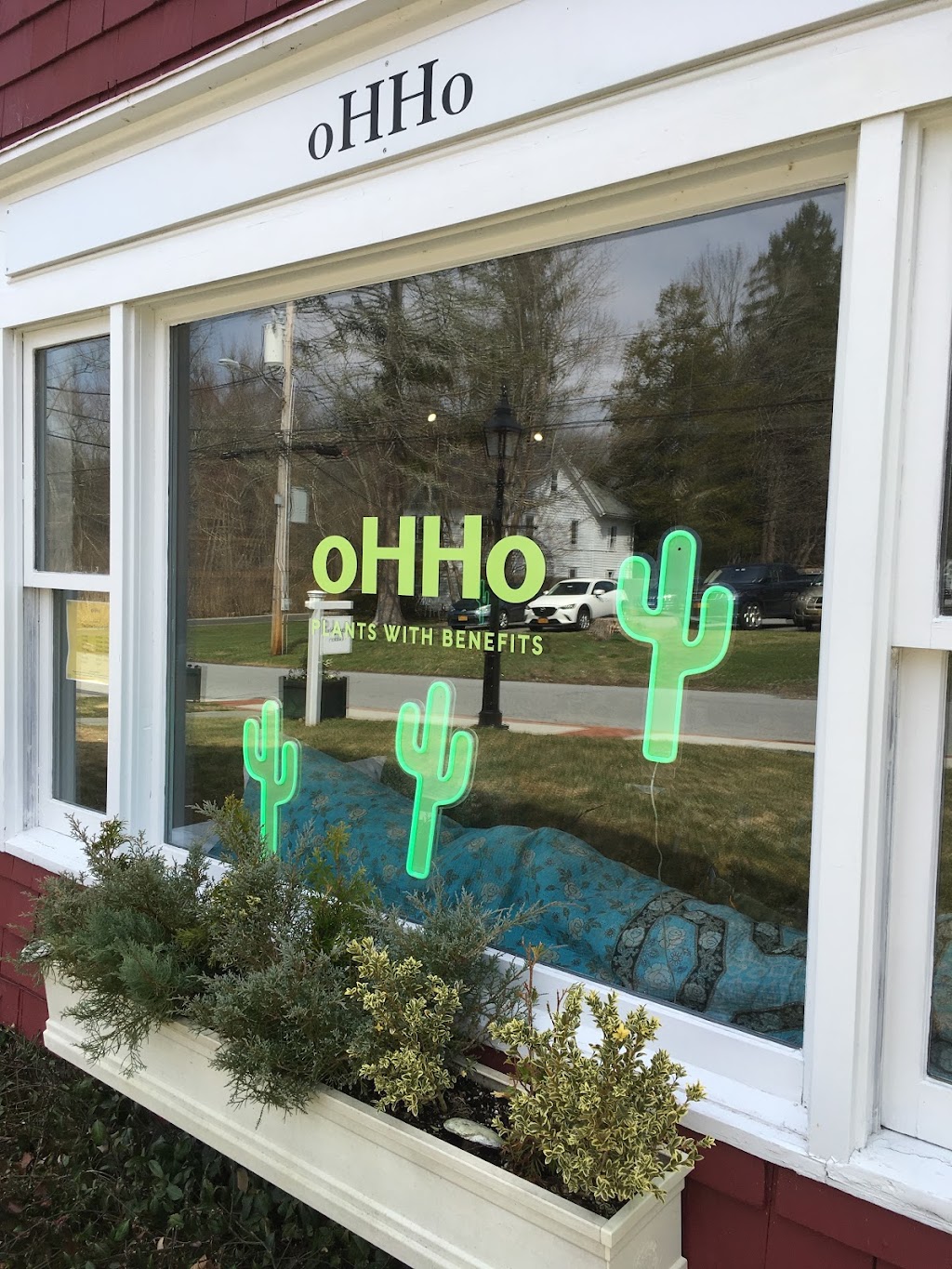 oHHo CBD | 13 Court Rd, Bedford, NY 10506 | Phone: (914) 764-1274