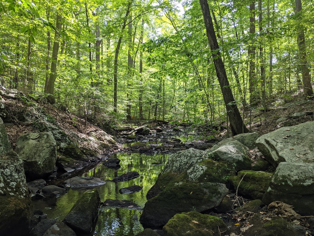 Fairchild Wildflower Sanctuary | Greenwich, CT 06831 | Phone: (203) 869-5272