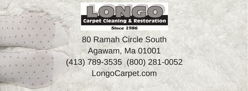 Longo Carpet Cleaning | 80 S Ramah Cir, Agawam, MA 01001 | Phone: (413) 789-3535