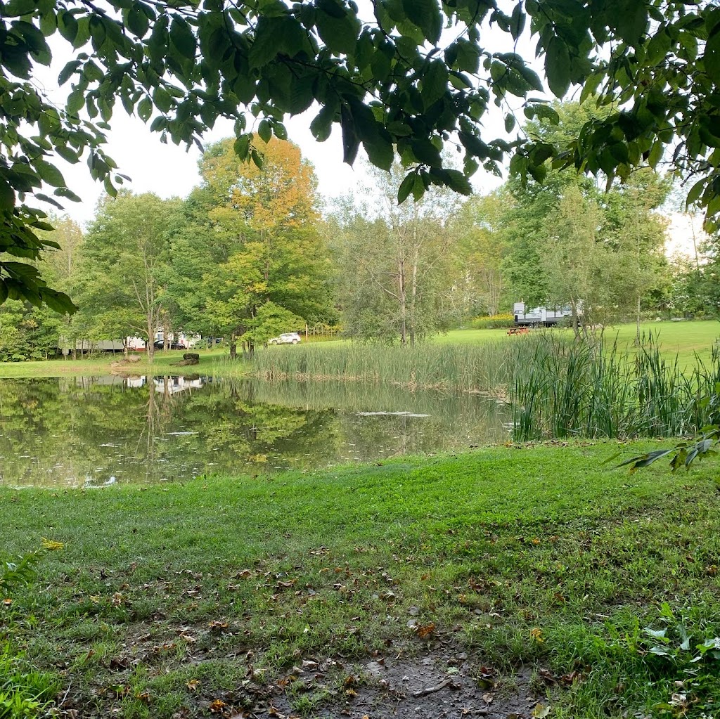 Valleyview Farm & Campgrounds | 1576 Belmont Turnpike, Waymart, PA 18472 | Phone: (570) 448-2268