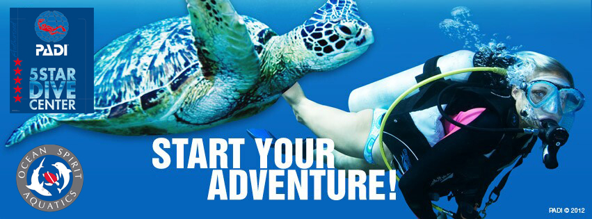 Ocean Spirit Aquatics | 530 Crown Point Rd, Thorofare, NJ 08086 | Phone: (856) 202-5402