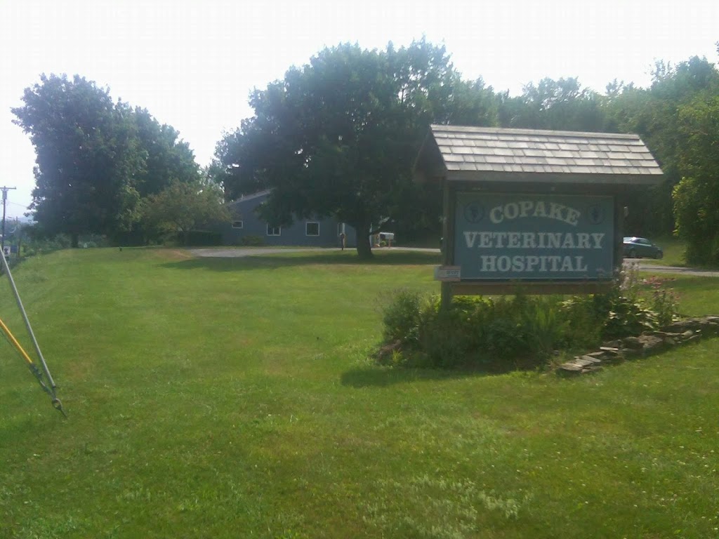 Copake Veterinary Hospital | 7915 NY-22, Copake Falls, NY 12517 | Phone: (518) 329-6161