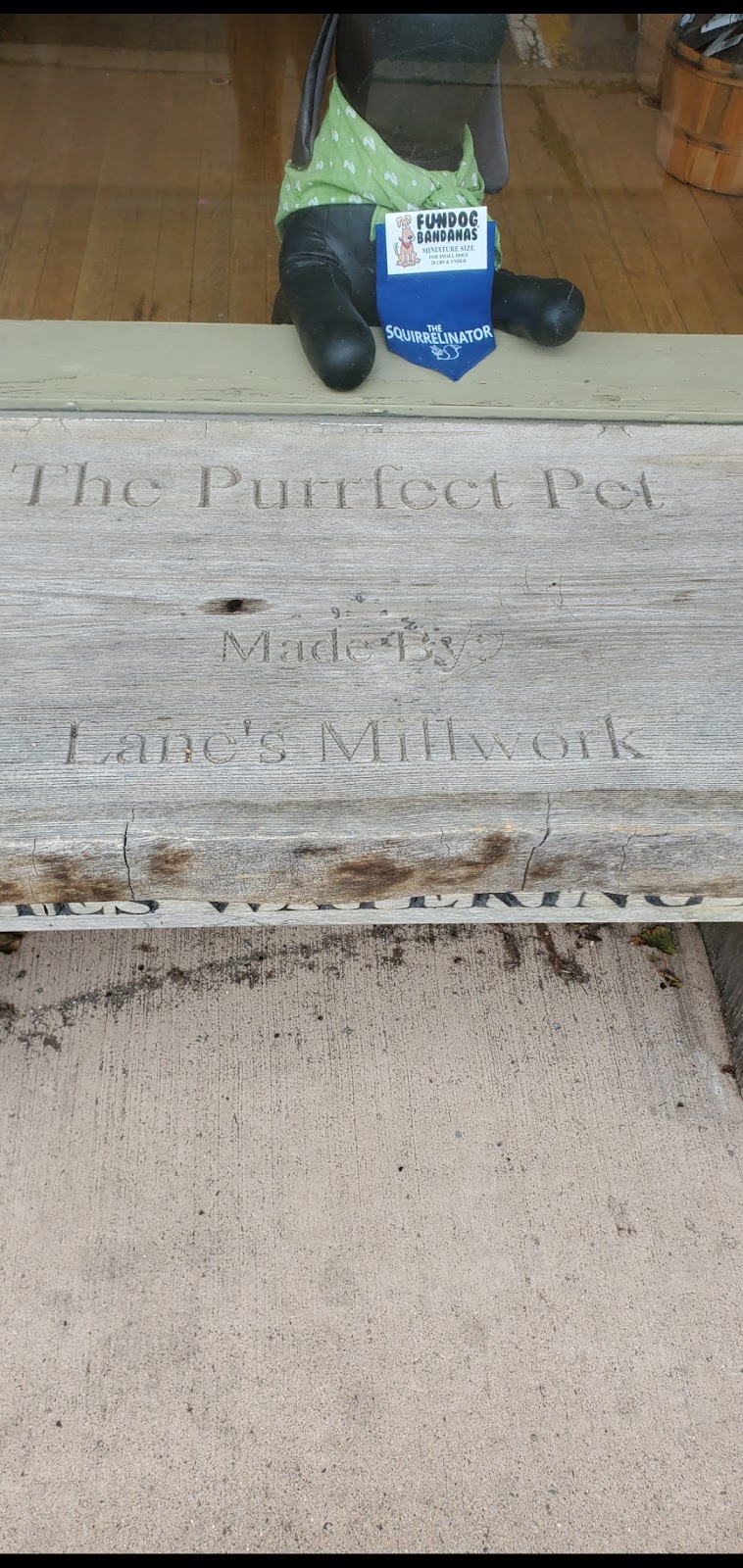 The Purrfect Pet | 57 Bridge St, Milford, NJ 08848 | Phone: (908) 995-8995