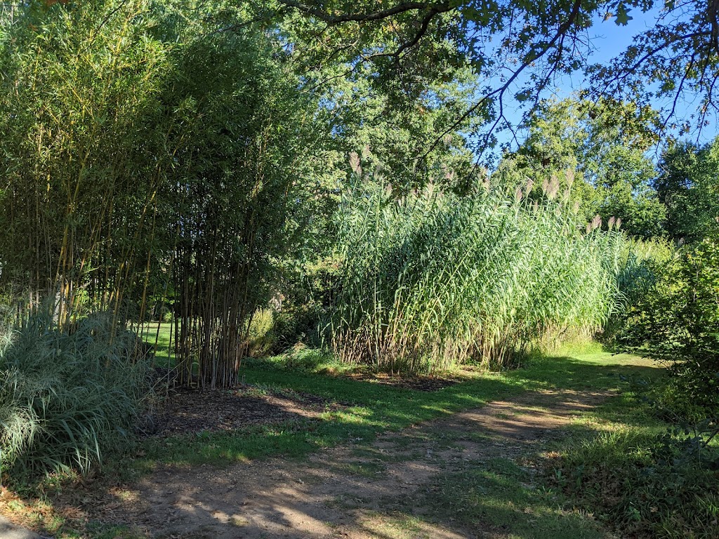 Bamboo Forest Rutgers Gardens | 126 Log Cabin Rd, East Brunswick, NJ 08816 | Phone: (732) 932-8451