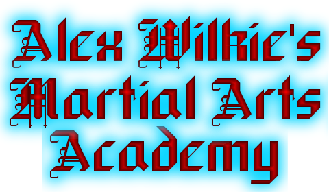 Alex Wilkies Martial Arts Academy | 783 E Main St #30E, Bridgewater, NJ 08807 | Phone: (732) 748-1580