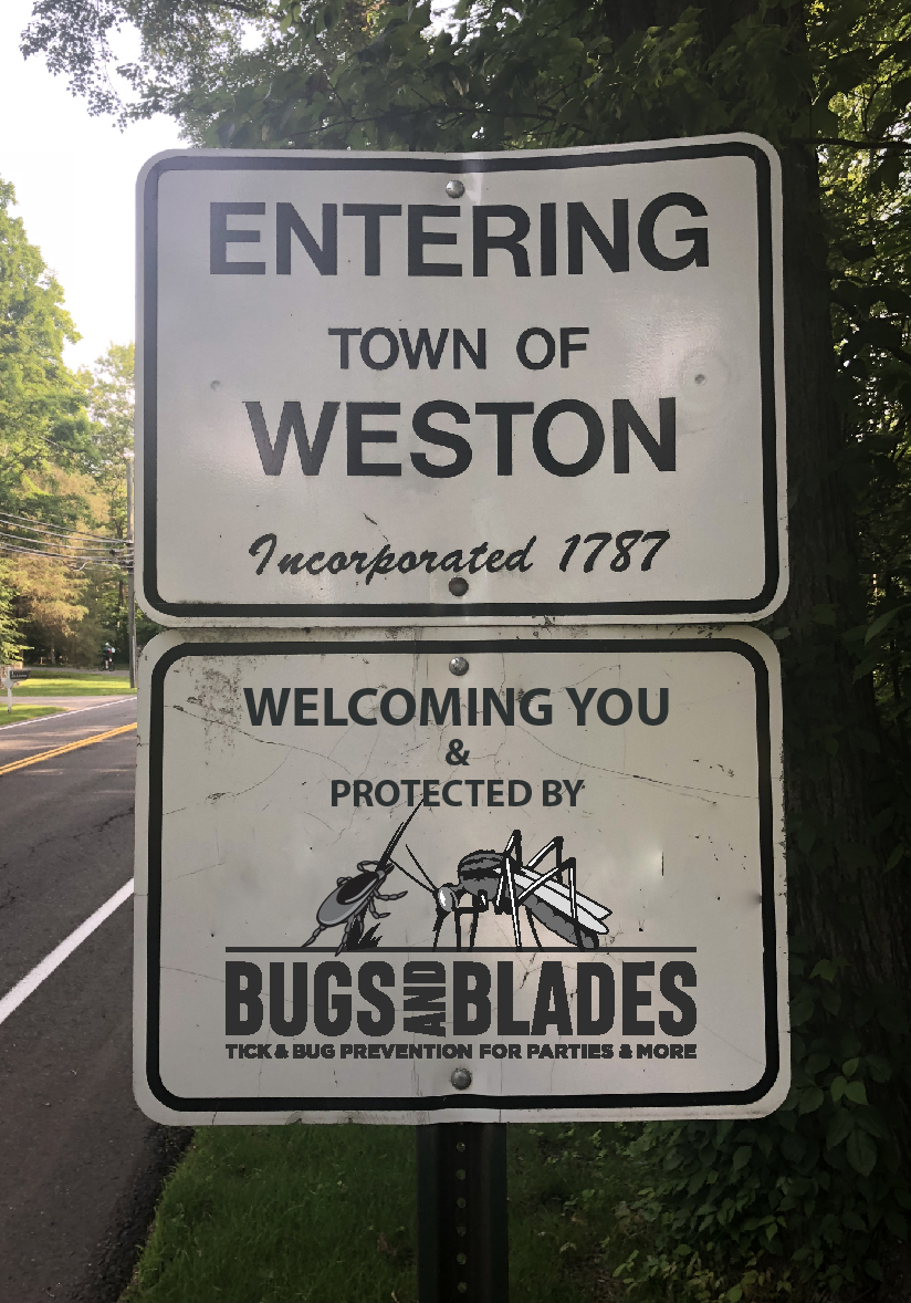 Bugs & Blades | 235 Danbury Rd, Wilton, CT 06897 | Phone: (203) 434-3279