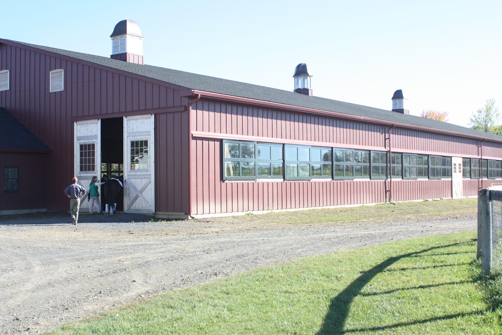Liberty Farms | 114 Ostrander Rd, Ghent, NY 12075 | Phone: (347) 563-5766