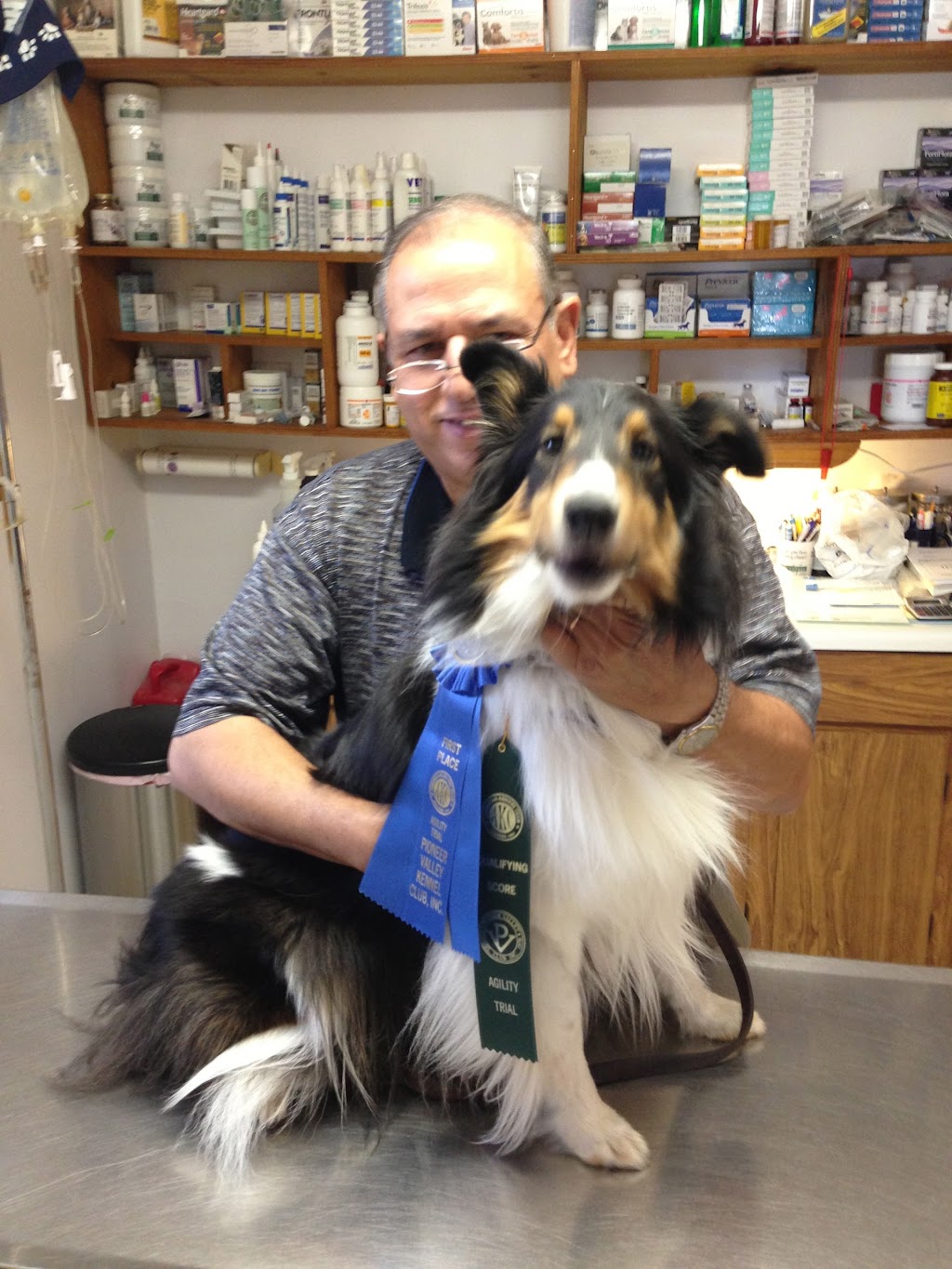 Hammonasset Animal Clinic | 117 Cottage Rd, Madison, CT 06443 | Phone: (203) 245-3434