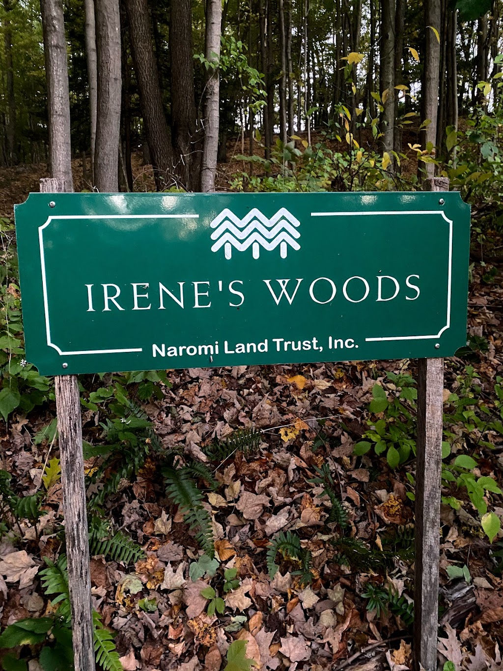 Irenes Woods Preserve | 43 Hubbell Mountain Rd, Sherman, CT 06784 | Phone: (860) 354-0260