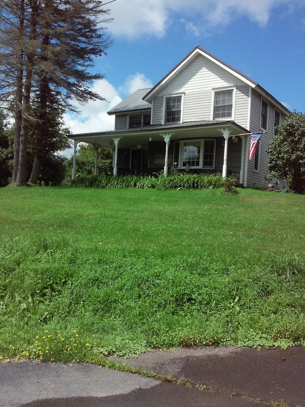 Cascade Valley U Pick Blueberries | 49 E Boskett Rd, Windsor, NY 13865 | Phone: (607) 655-1693