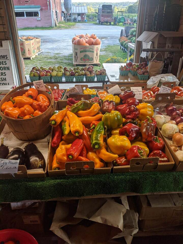 Diehl Farms Farm Market | 623 Gabel Rd, Callicoon, NY 12723 | Phone: (845) 807-3131