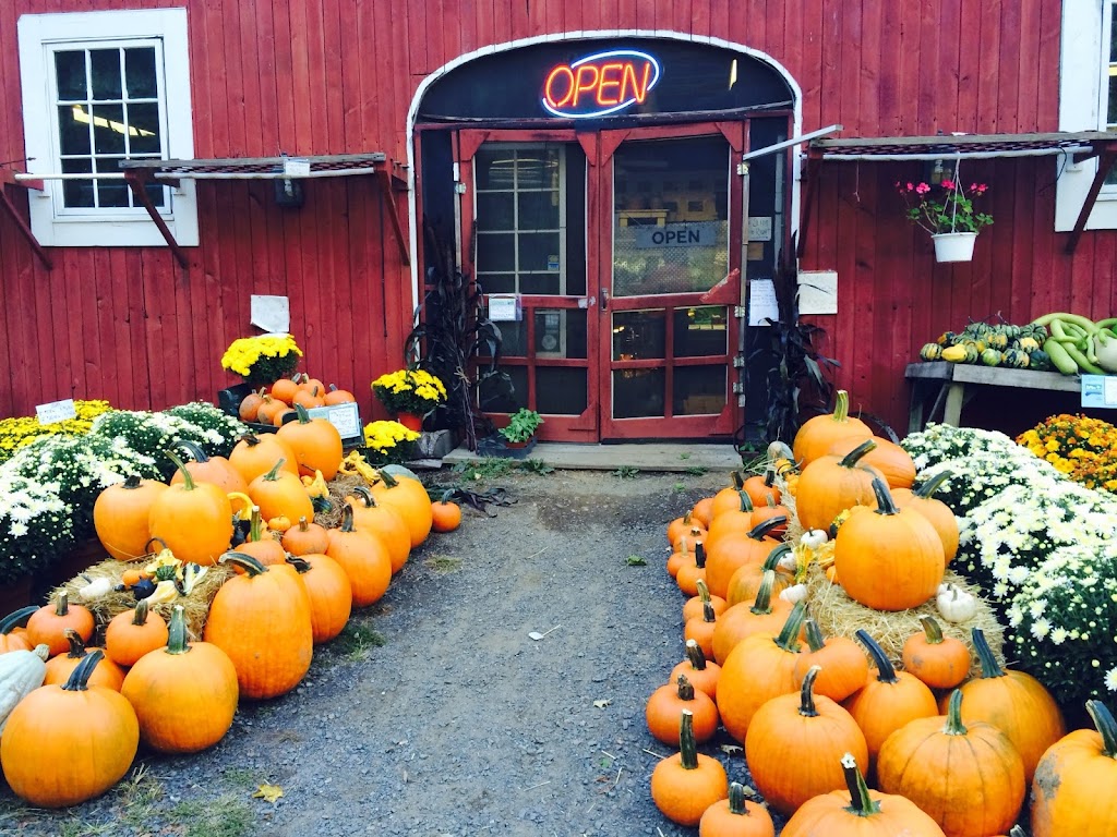 Holbrook Farm | 45 Turkey Plain Rd, Bethel, CT 06801 | Phone: (203) 792-0561