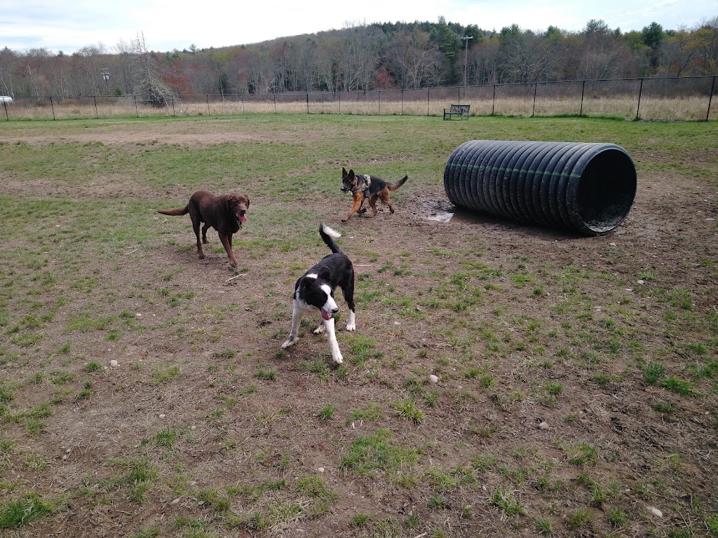 Town of Bethel Dog Park | 50 Golf Park Rd, Smallwood, NY 12778 | Phone: (845) 583-4350