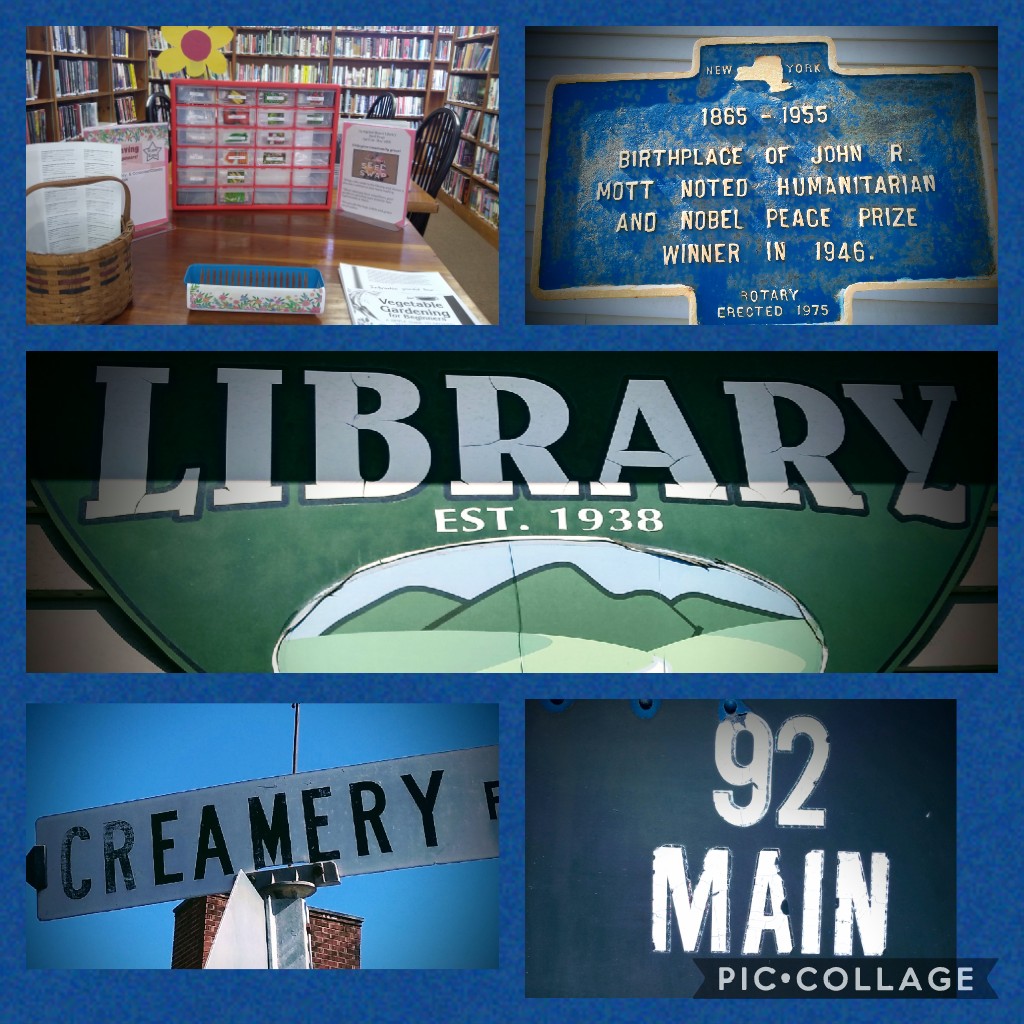 Livingston Manor Free Library | 92 Main St, Livingston Manor, NY 12758 | Phone: (845) 439-5440